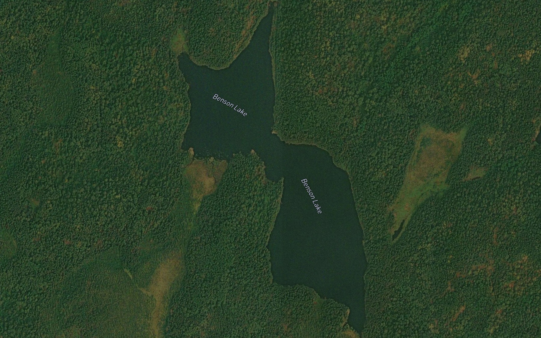 Satellite map of the Benson Lake