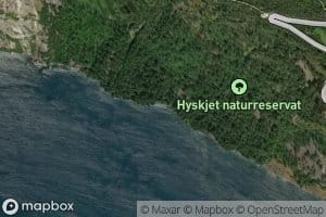 Hyskjevika