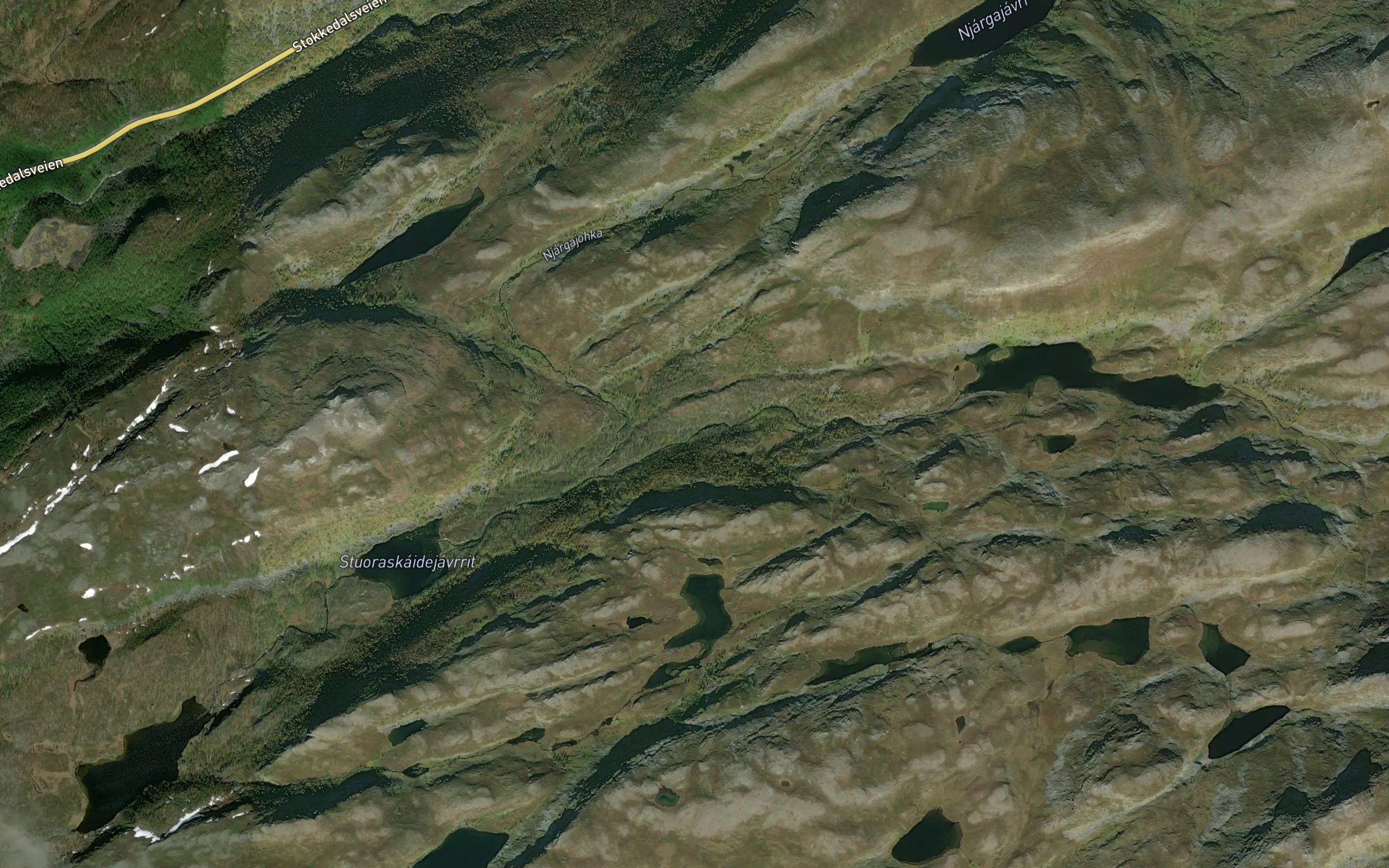 Ruollajakka
