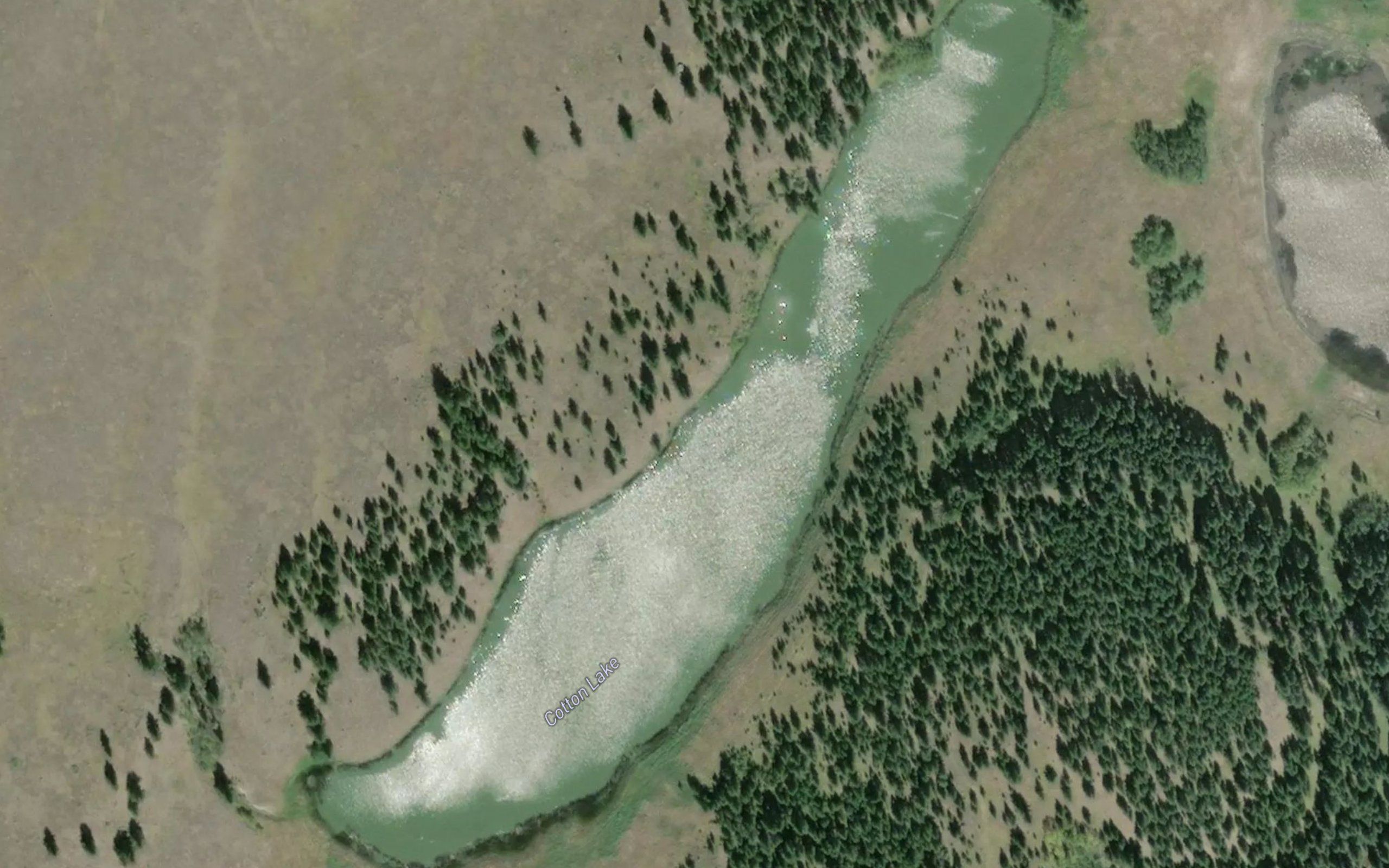 Cotton Lake