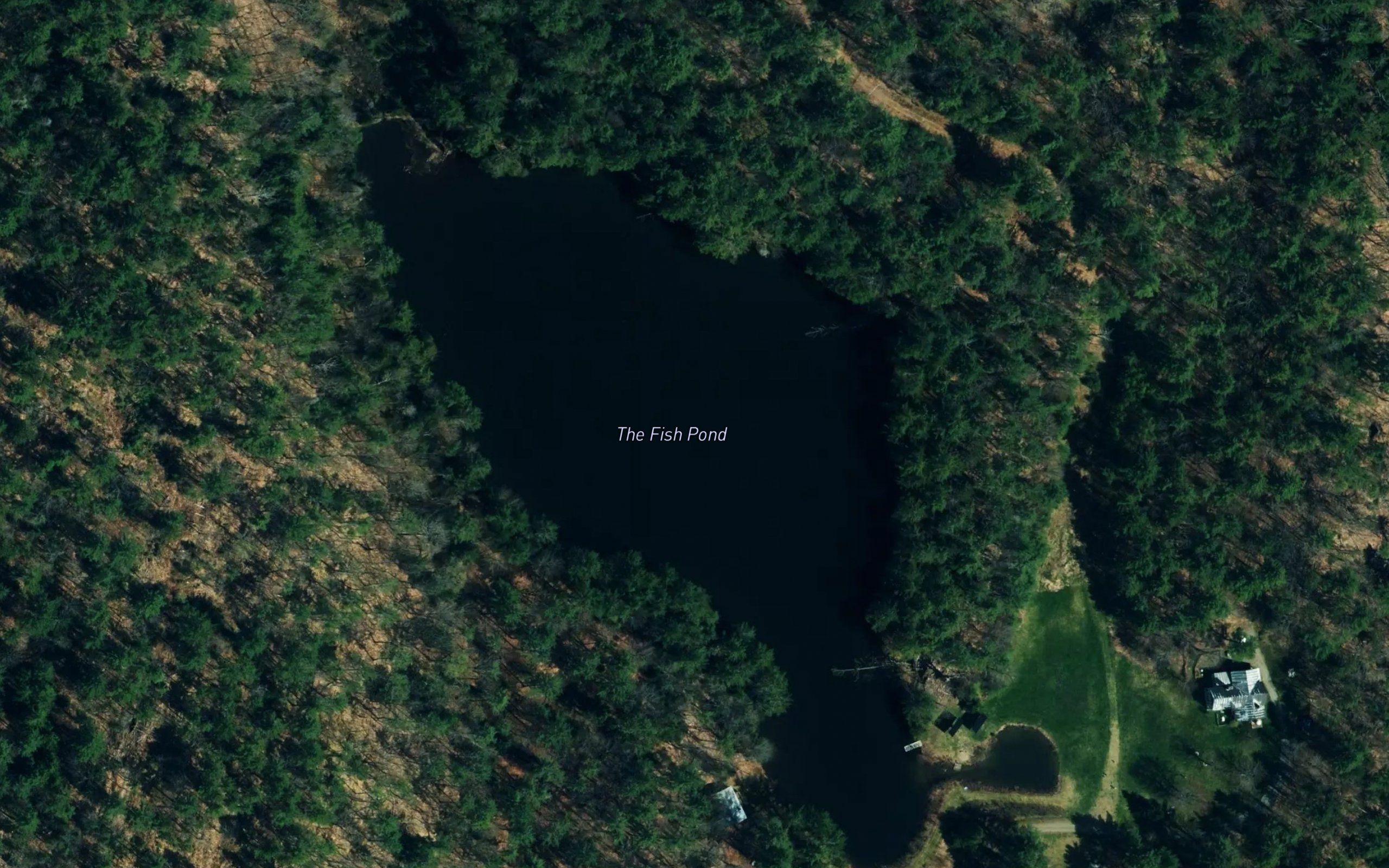 The Fish Pond
