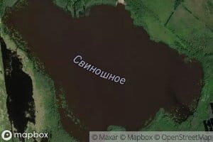 Ozero Svinoshnoye