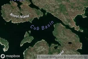 Cub Basin