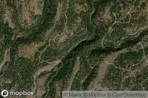 Bear Springs