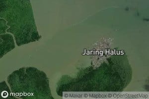 Kuala Jaringalus Besar