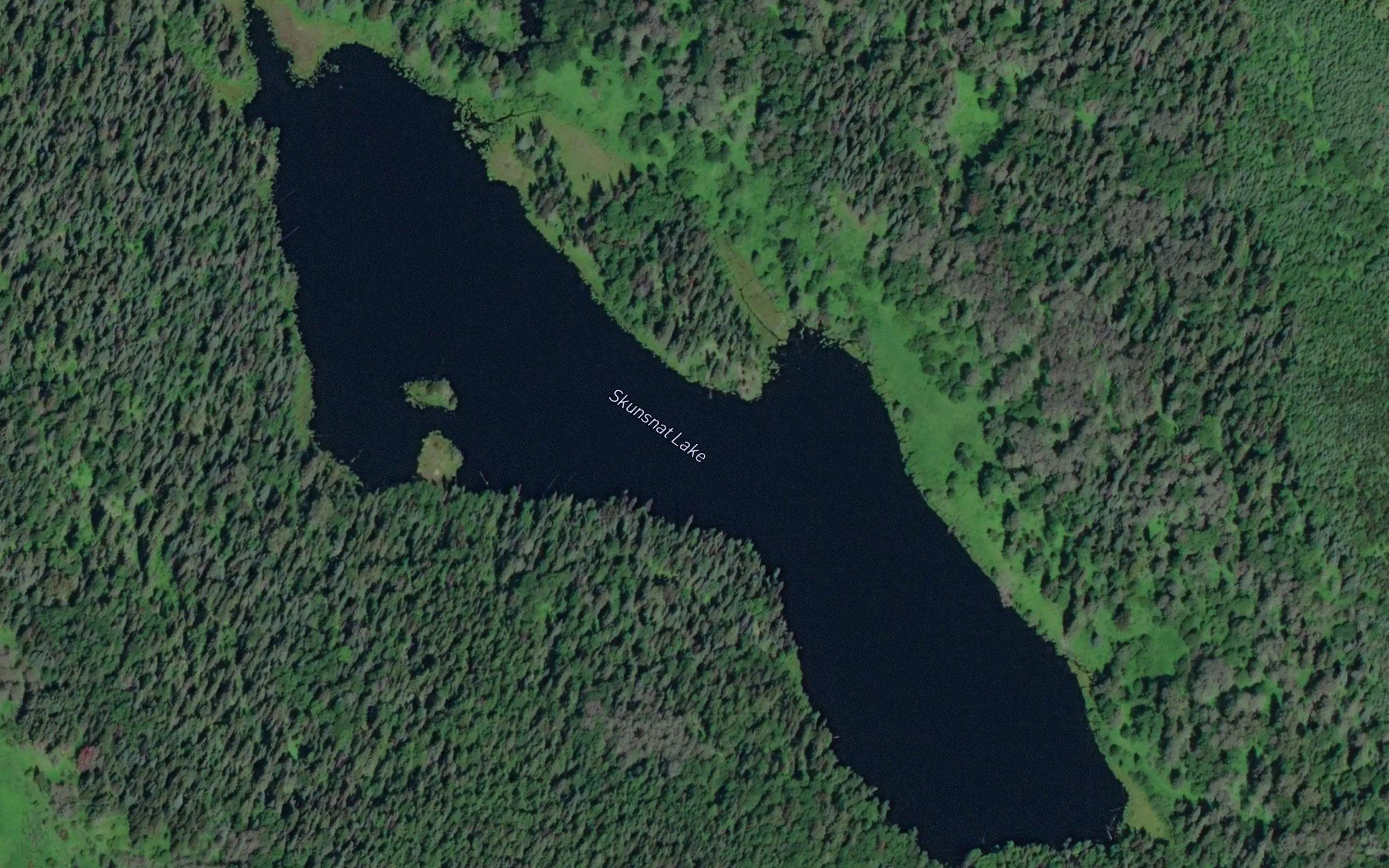 Skunsnat Lake