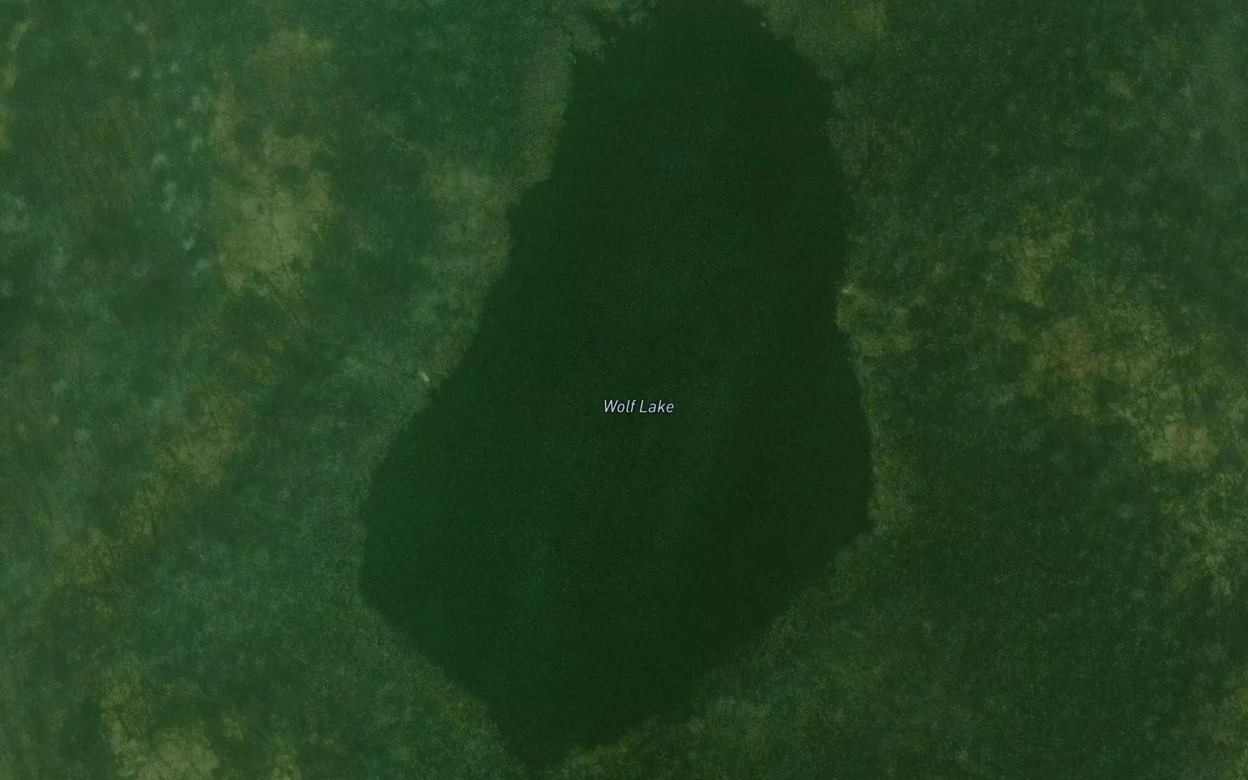 Satellite map of the Wolf Lake
