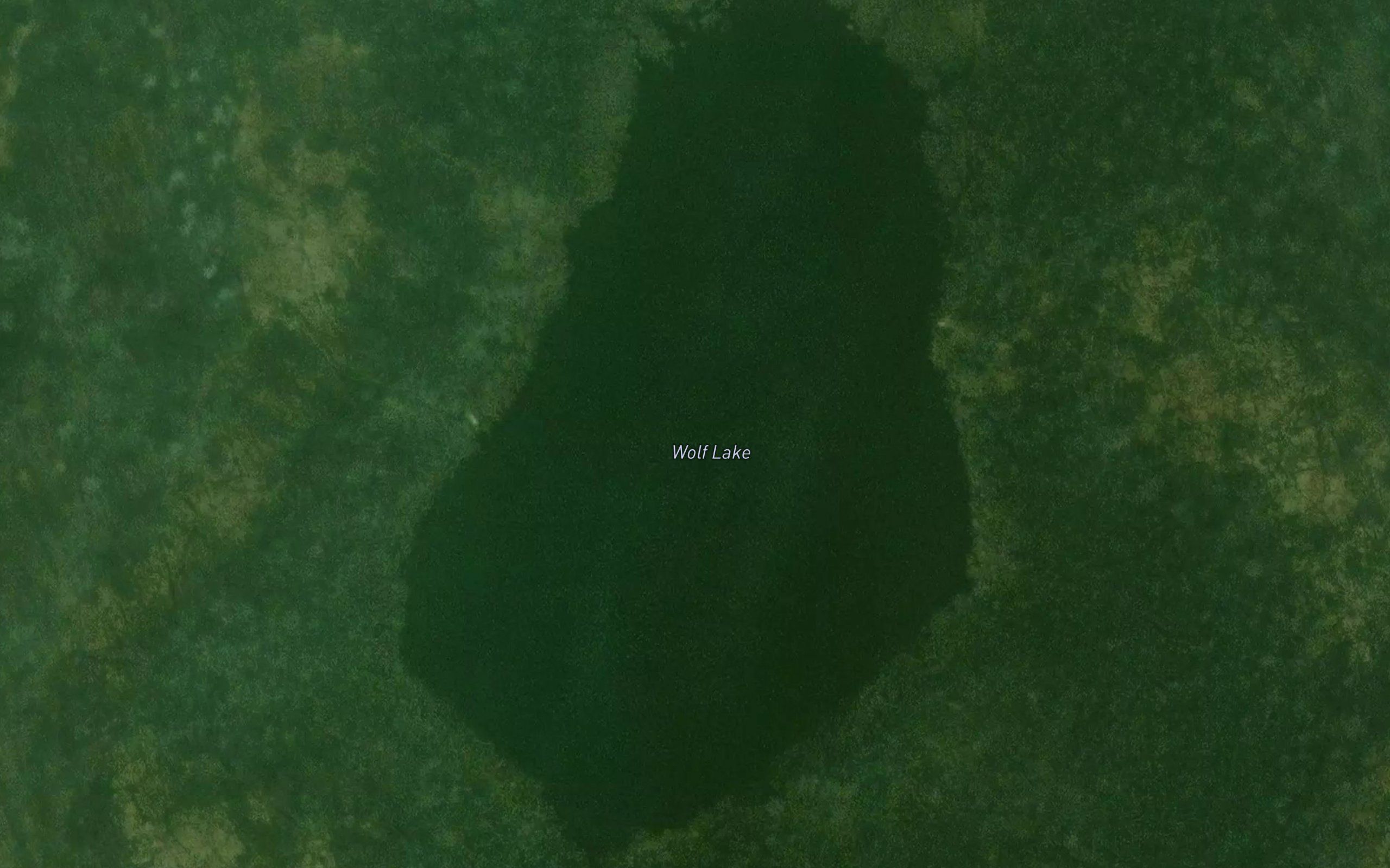 Wolf Lake