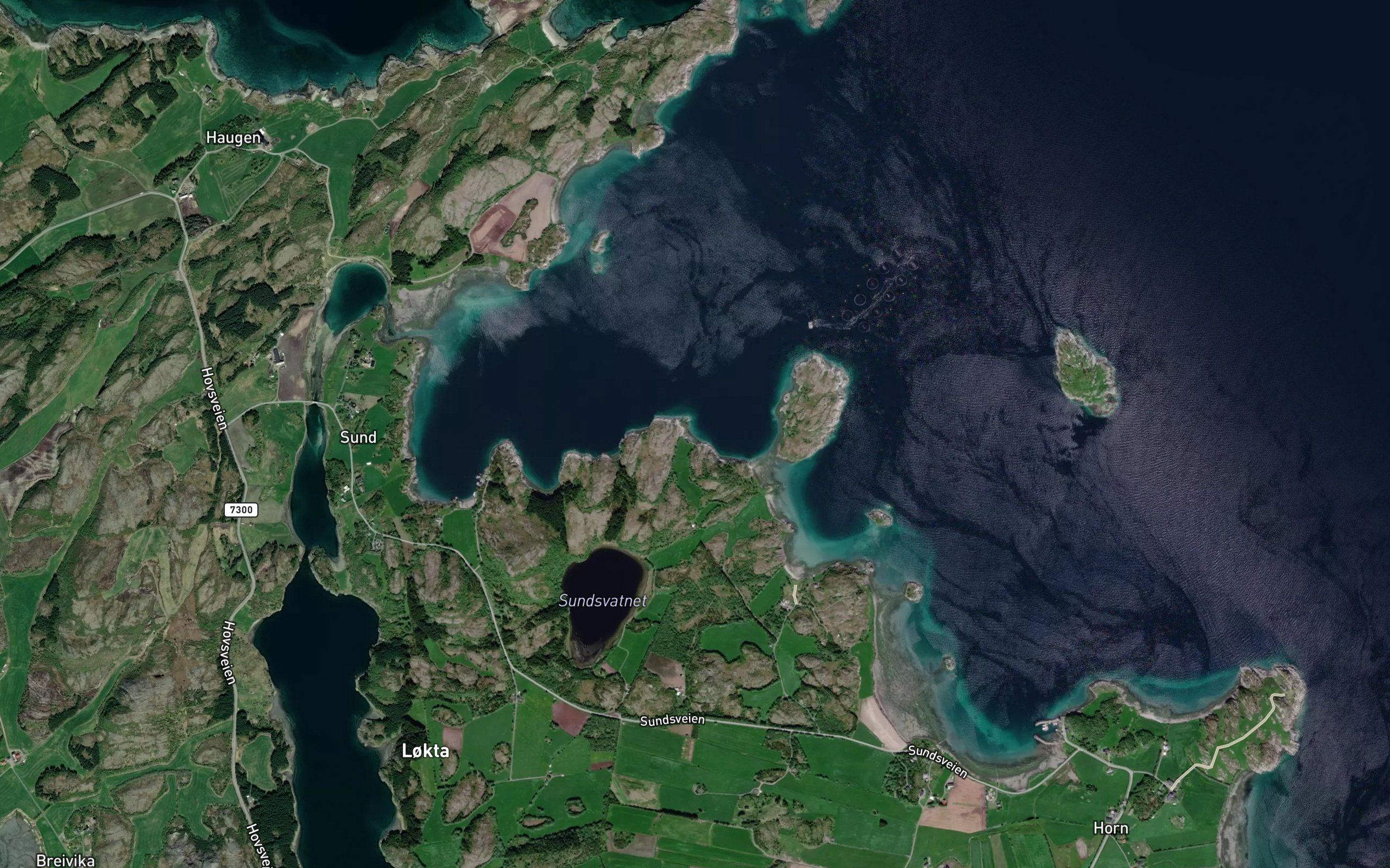 Storvikja