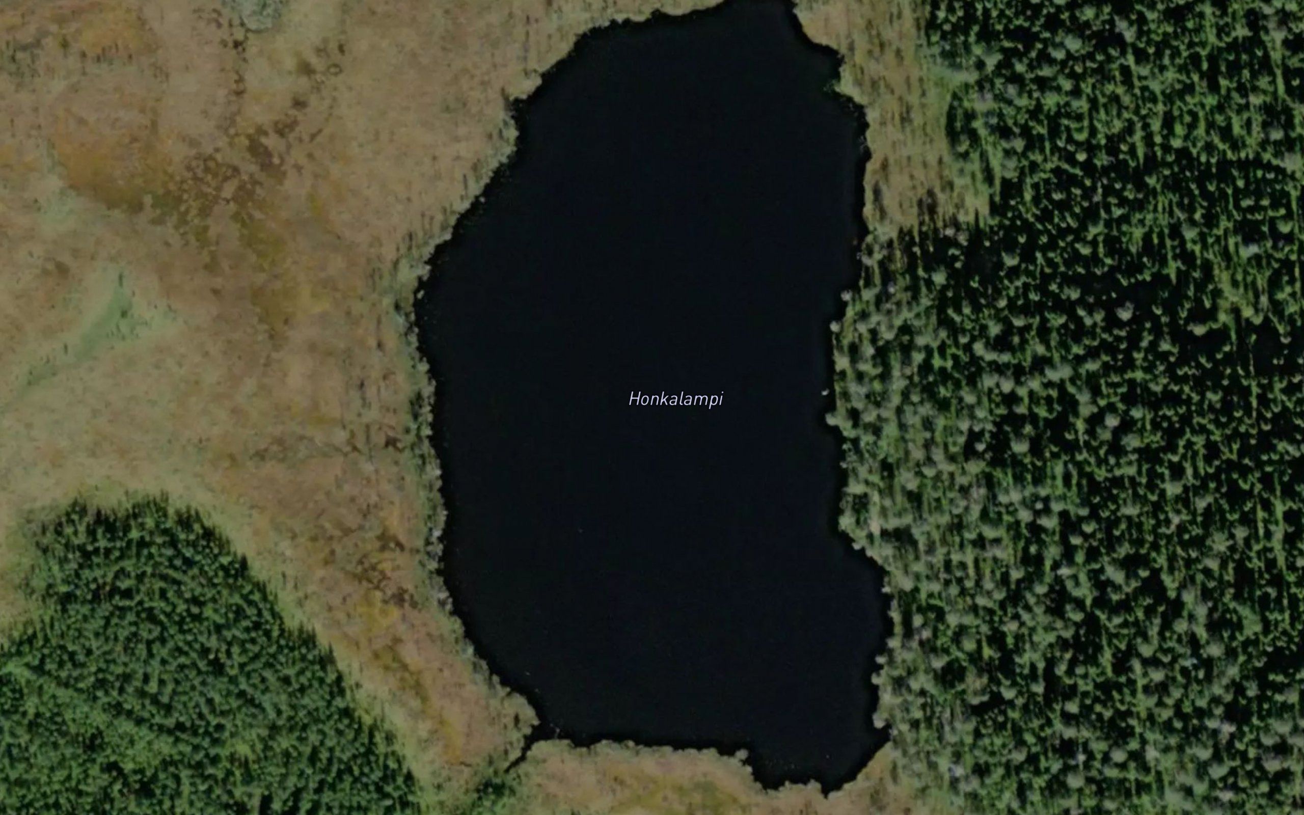 Honkalampi