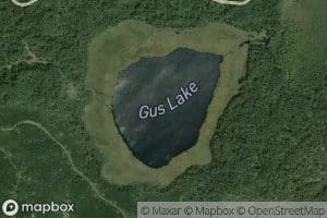 Gus Lake
