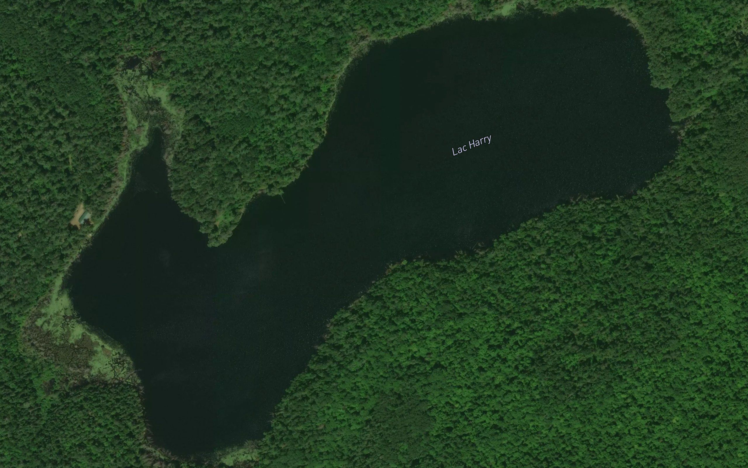 Lac Harry