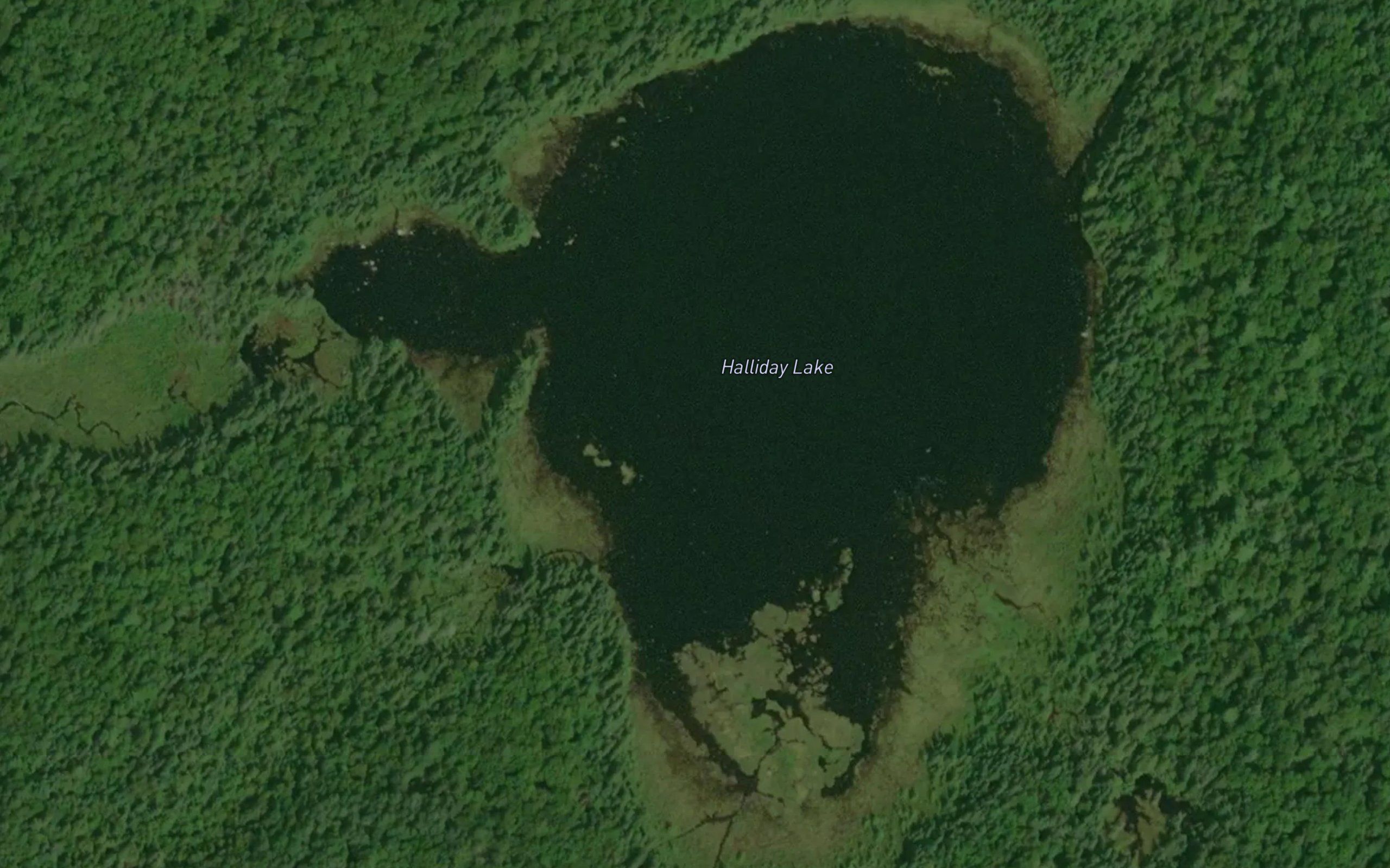 Halliday Lake