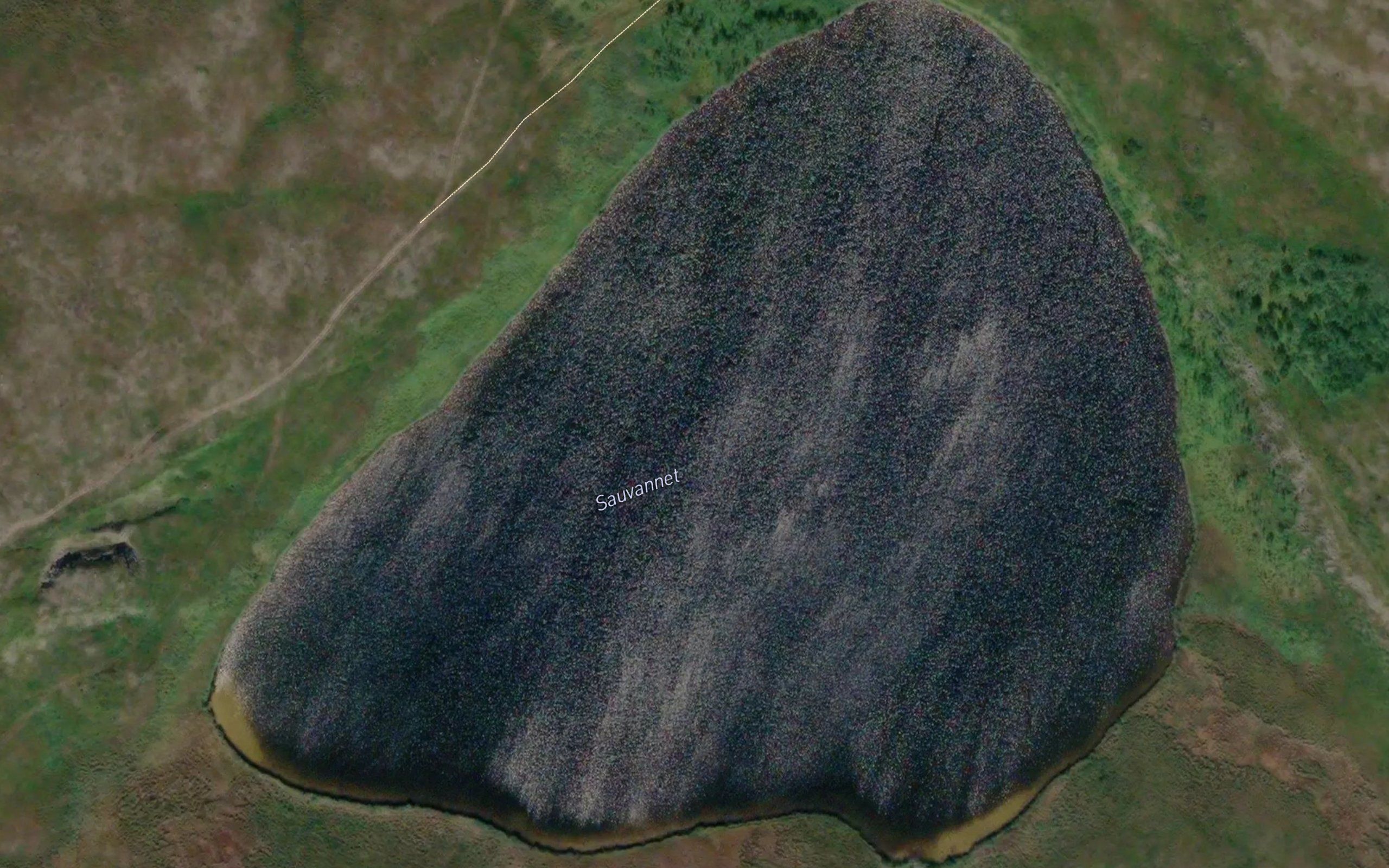 Sauvatnet