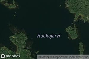 Ruokojarvi