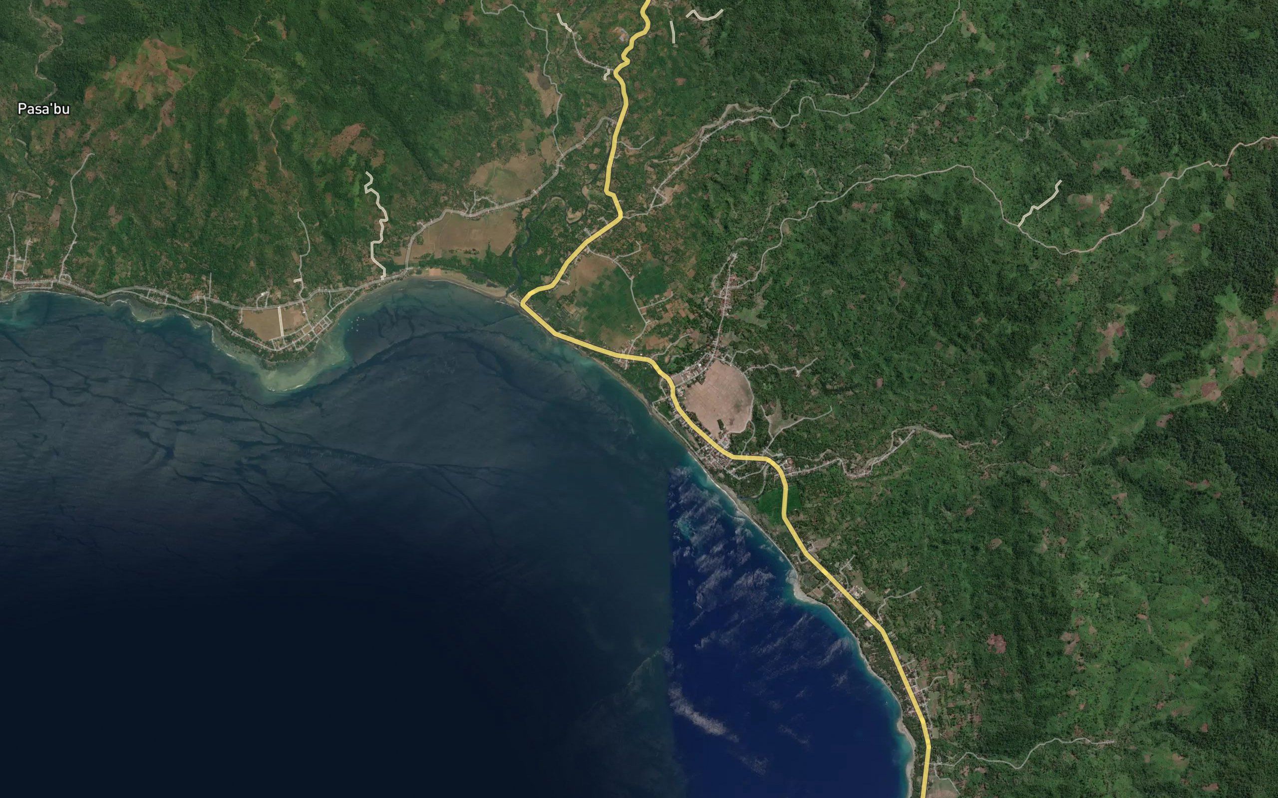 Salu Taosa