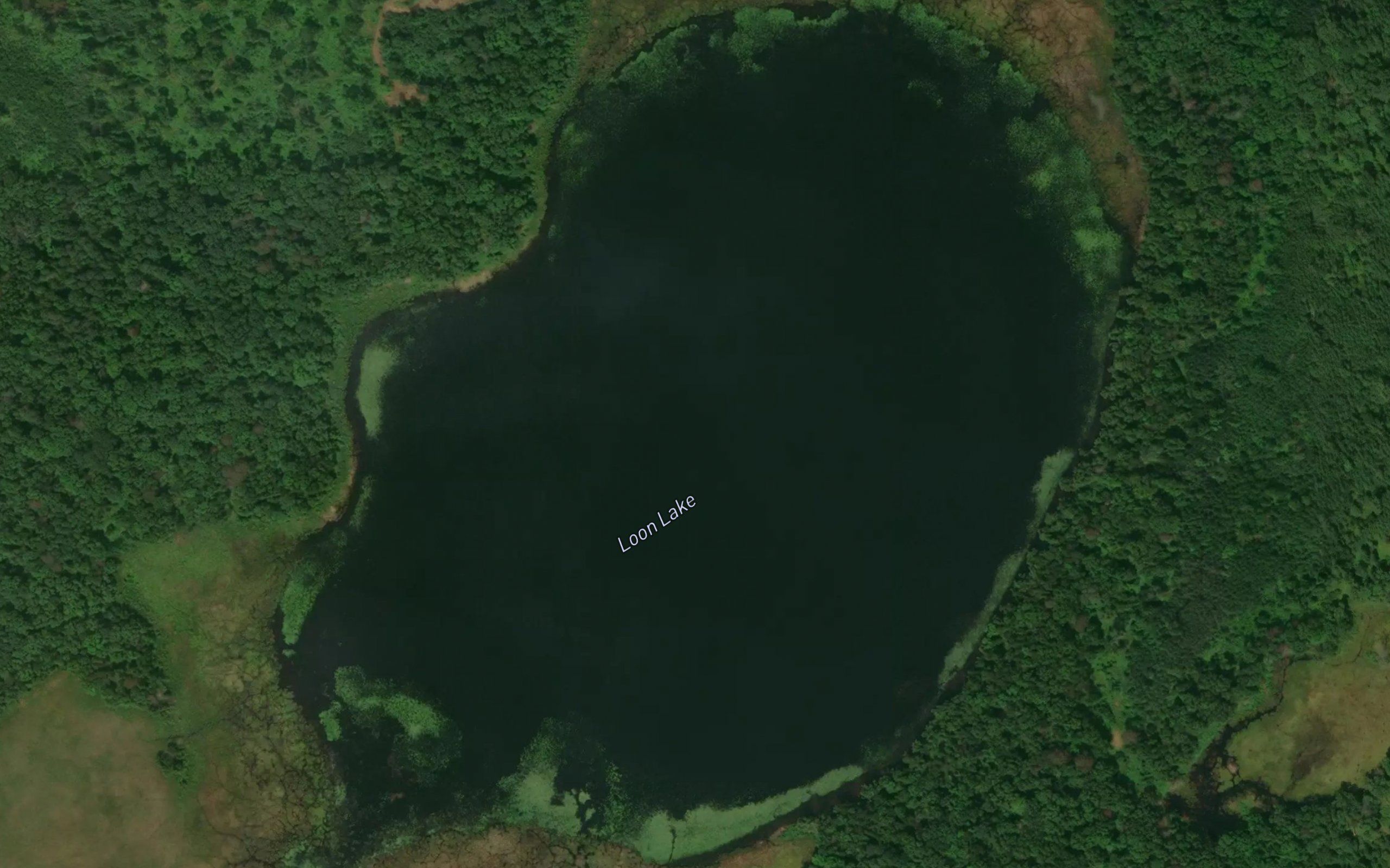 Loon Lake