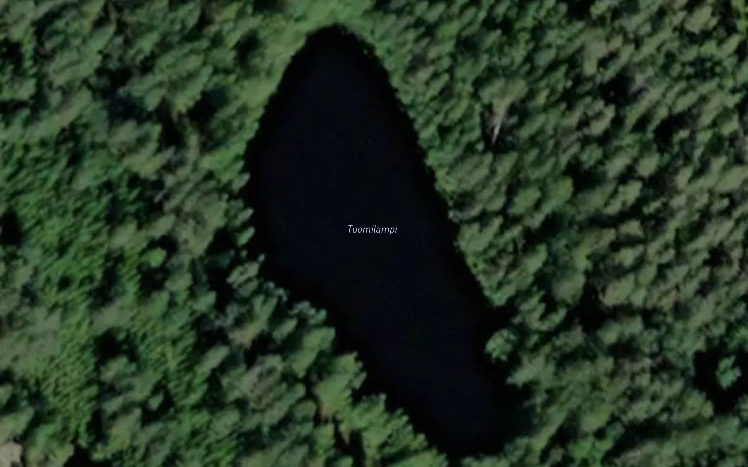 Tuomilampi