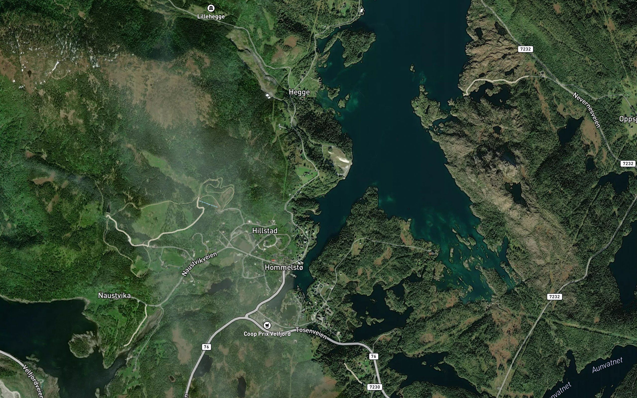 Kalvvikja