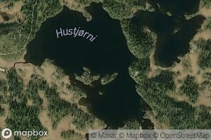Hustjorni
