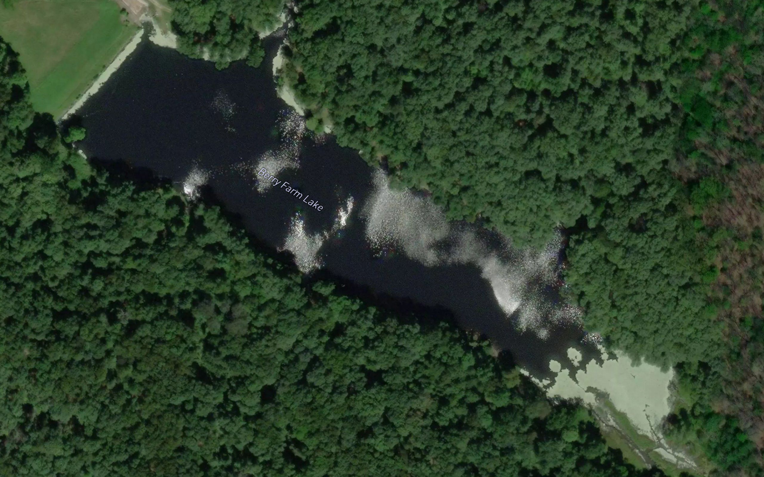Berry Farm Lake