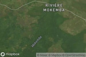 Mokweanga