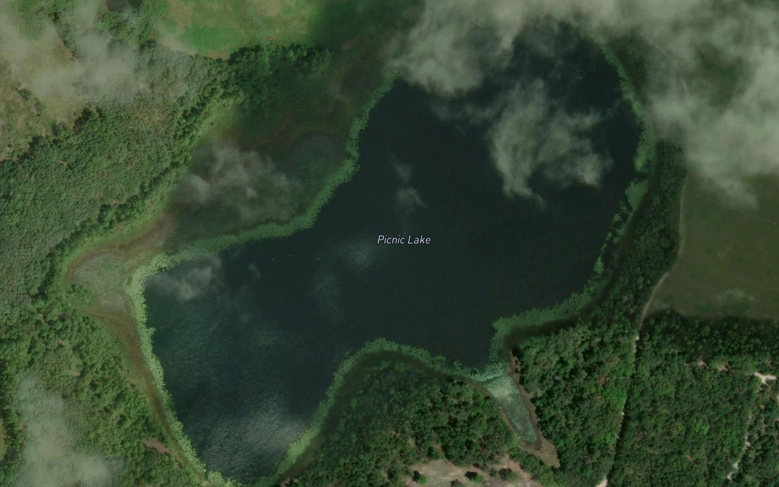 Picnic Lake