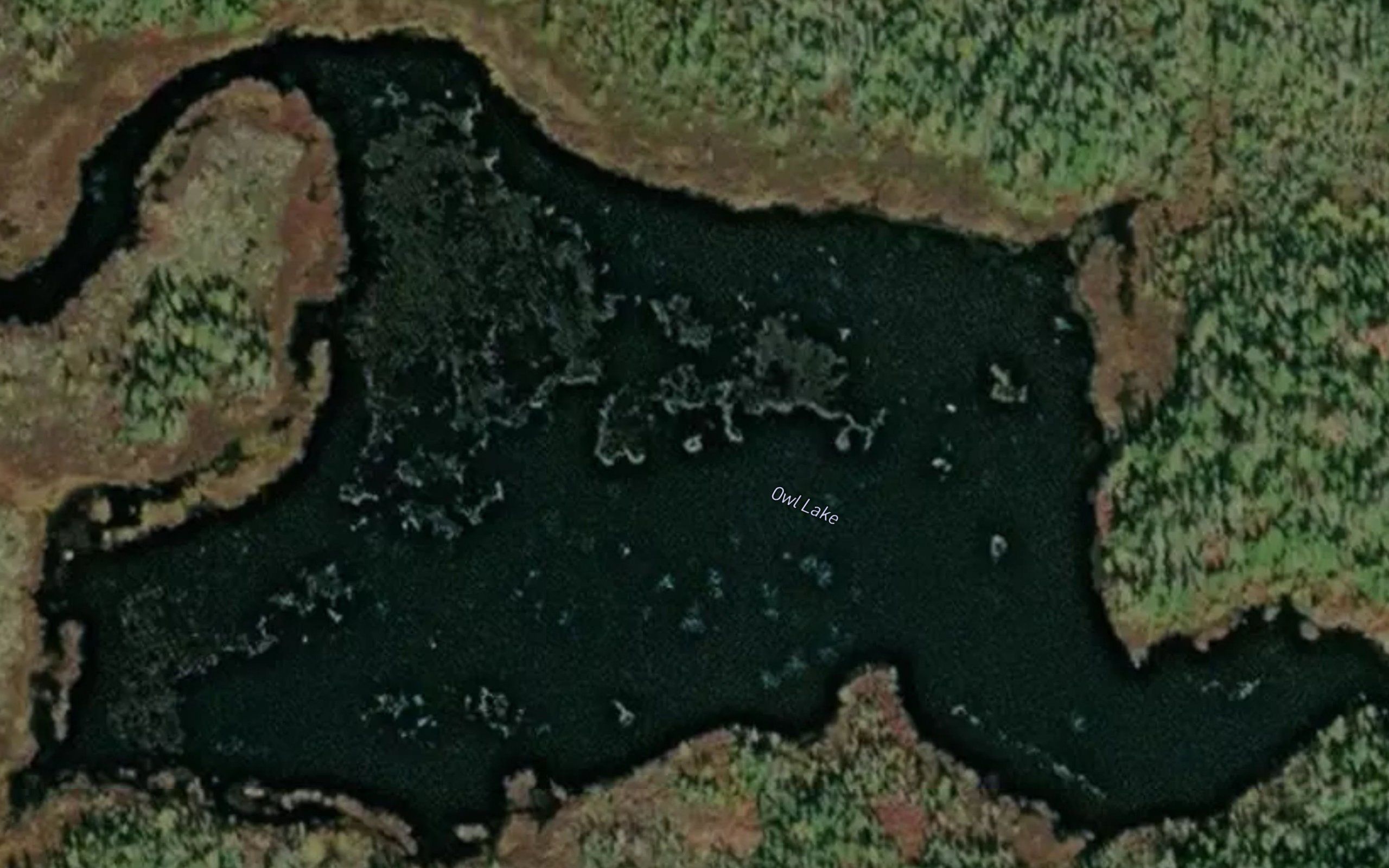 Owl Lake