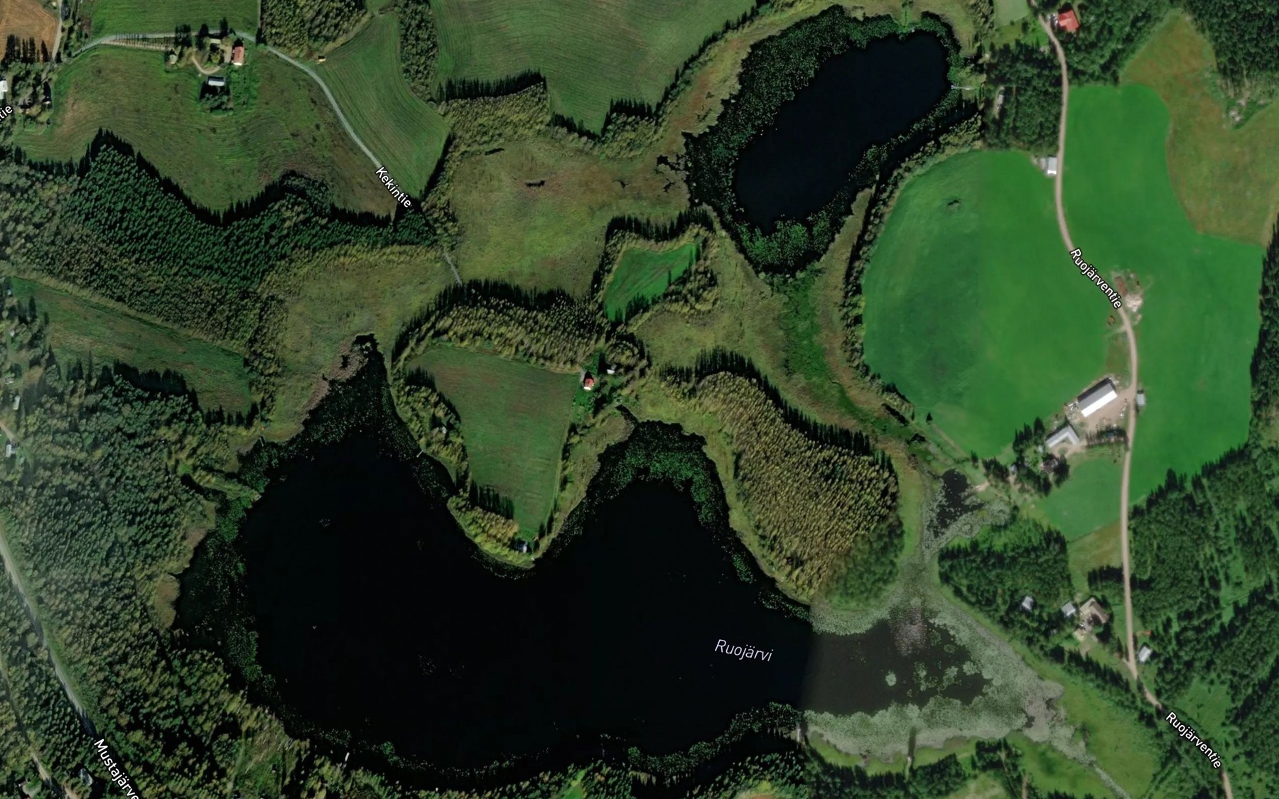 Satellite map of the Ruojarvi