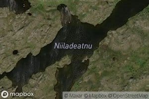 Niiladaedno