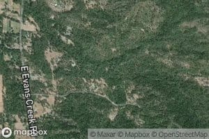 South Fork Trimble Creek