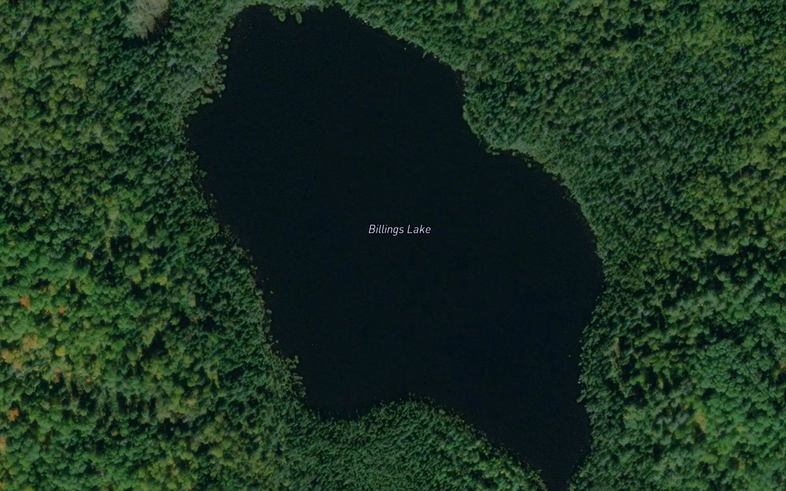 Billings Lake