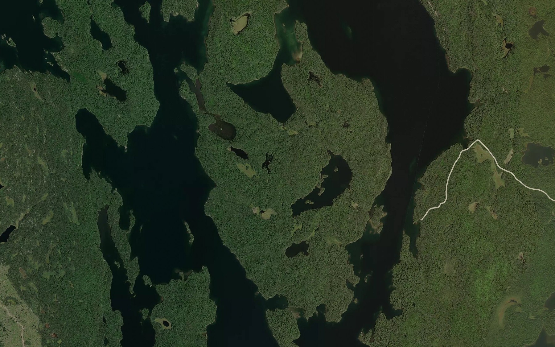 Satellite map of the Pickerel Bay