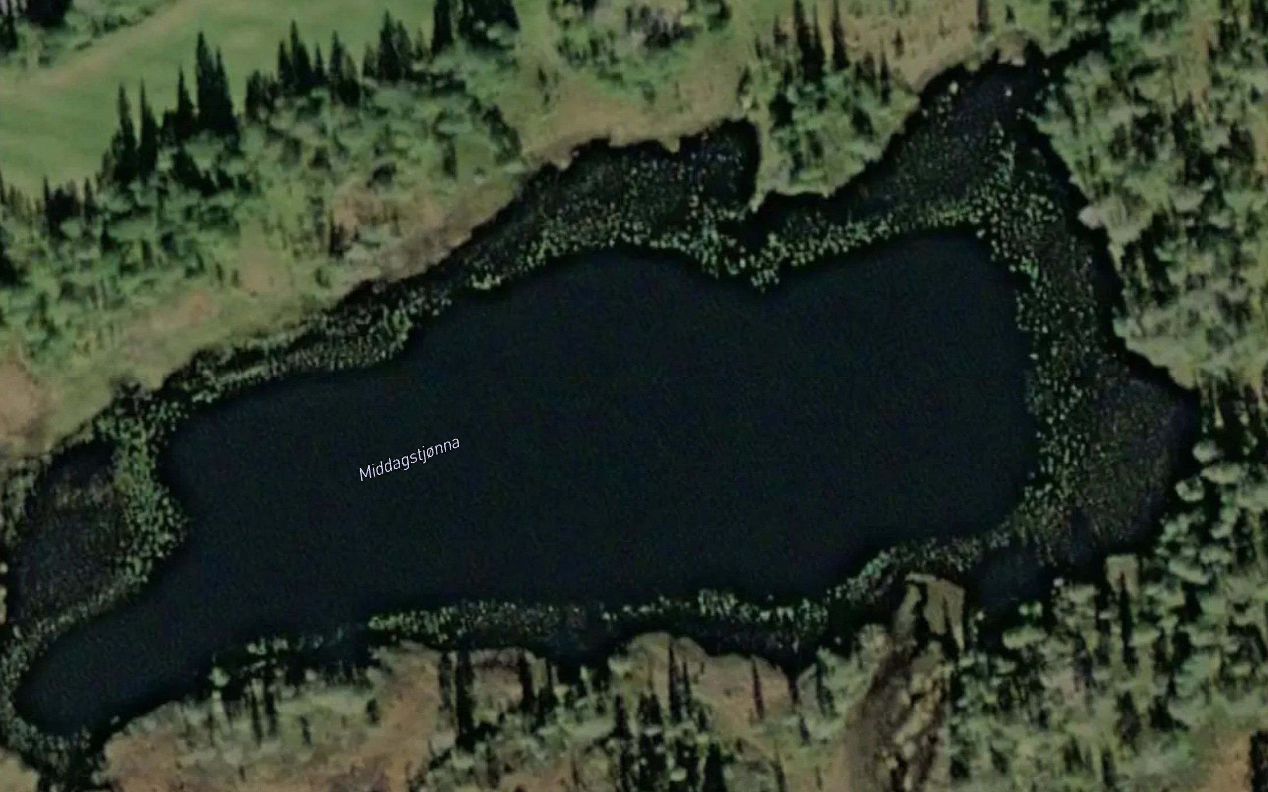 Middagstjorna