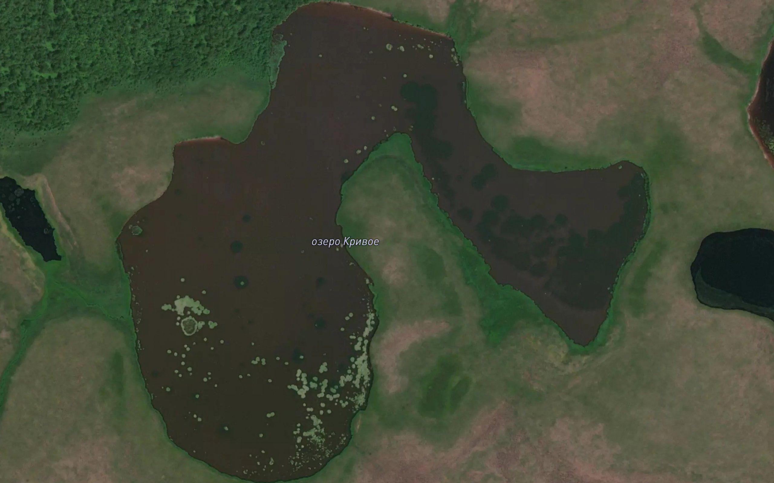 Ozero Krivoye