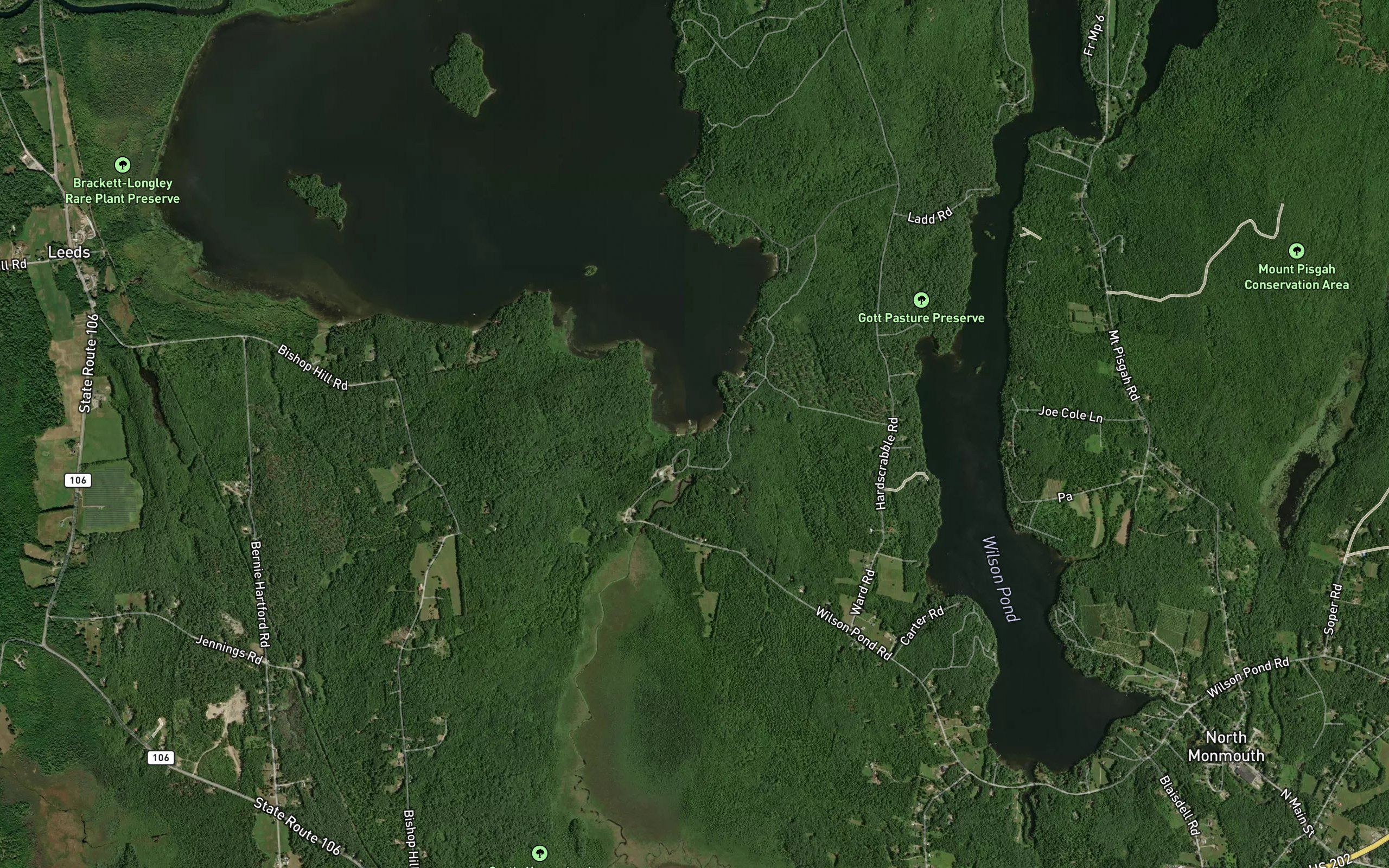 Bog Brook