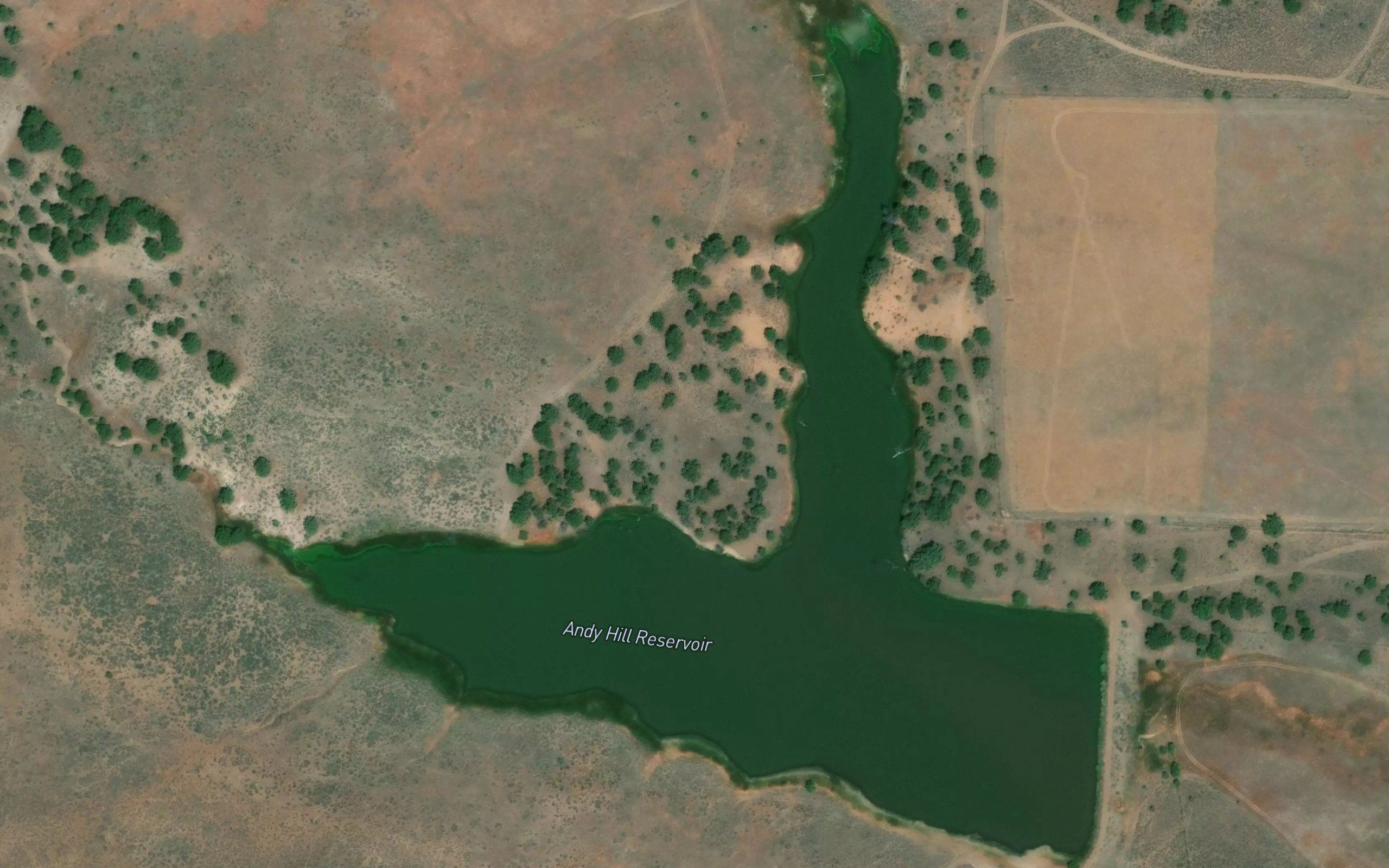 Andy Hill Reservoir