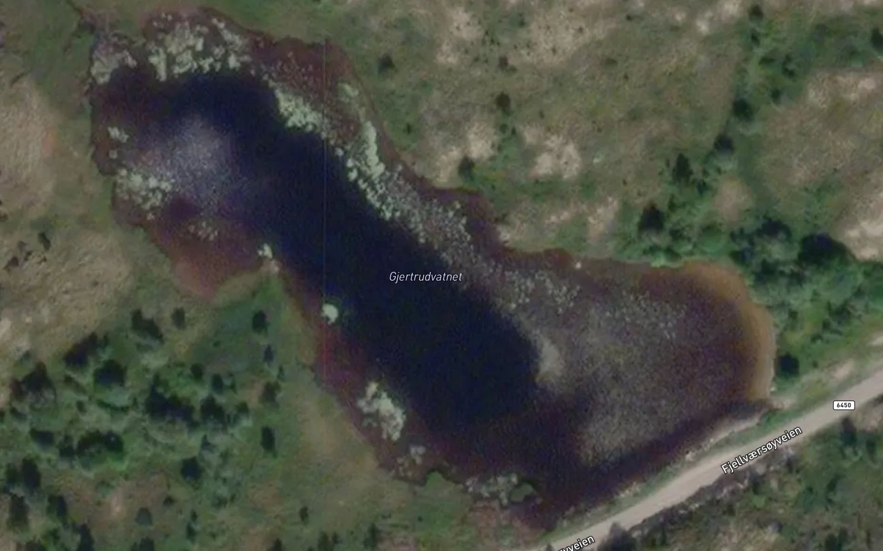 Satellite map of the Gjertrudvatnet