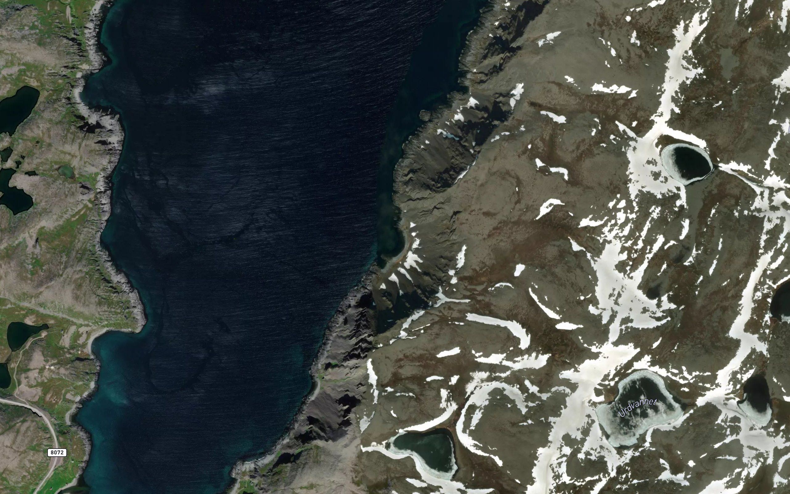 Kvitsteinvika