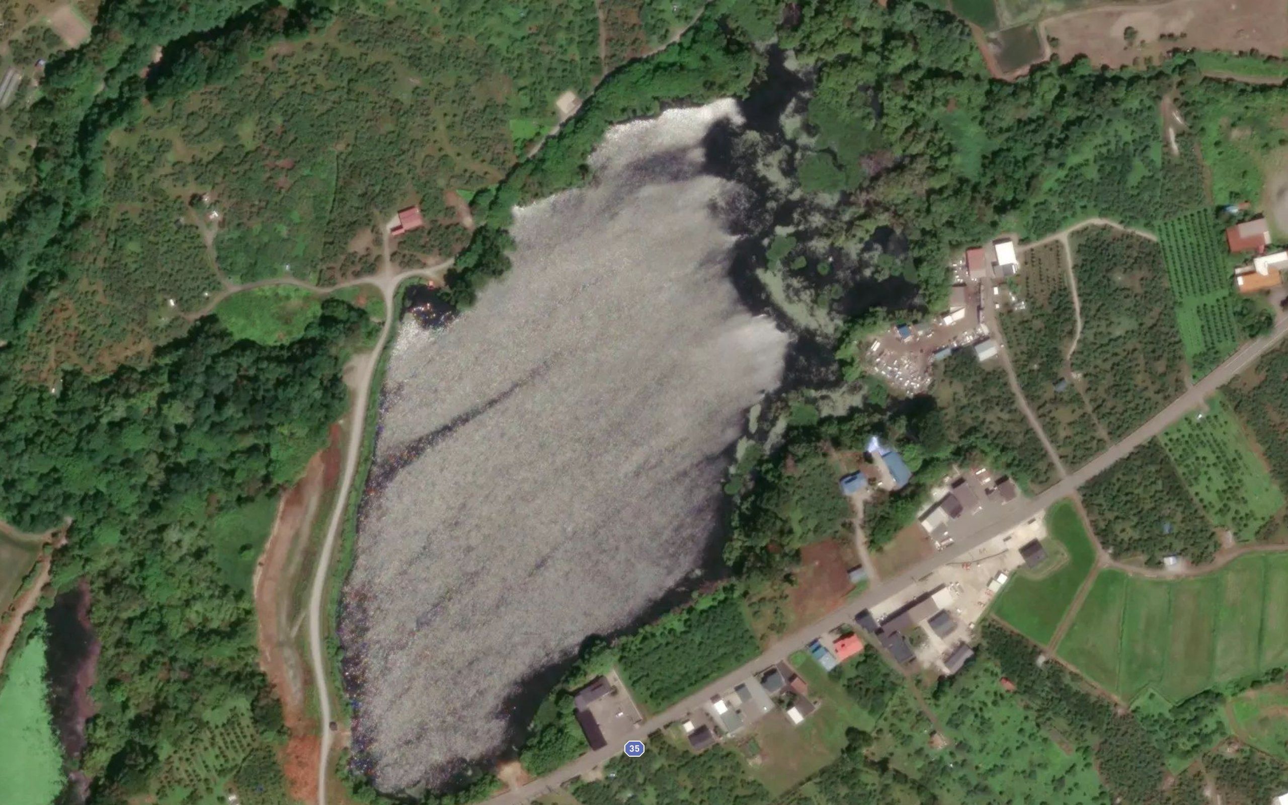 Kono Daitameike