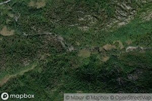 Straumselva