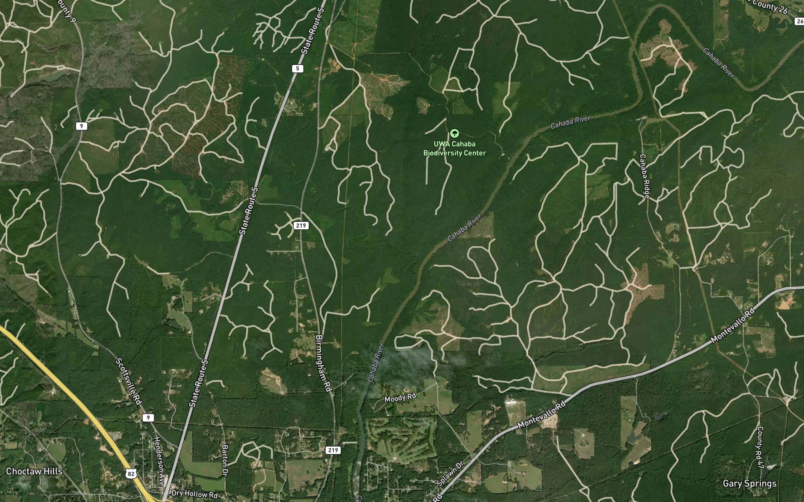 Lowery Branch