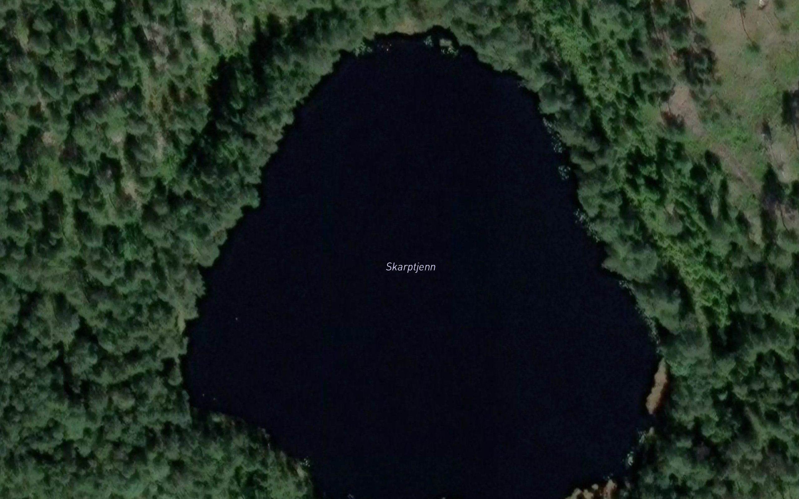 Skarptjerna