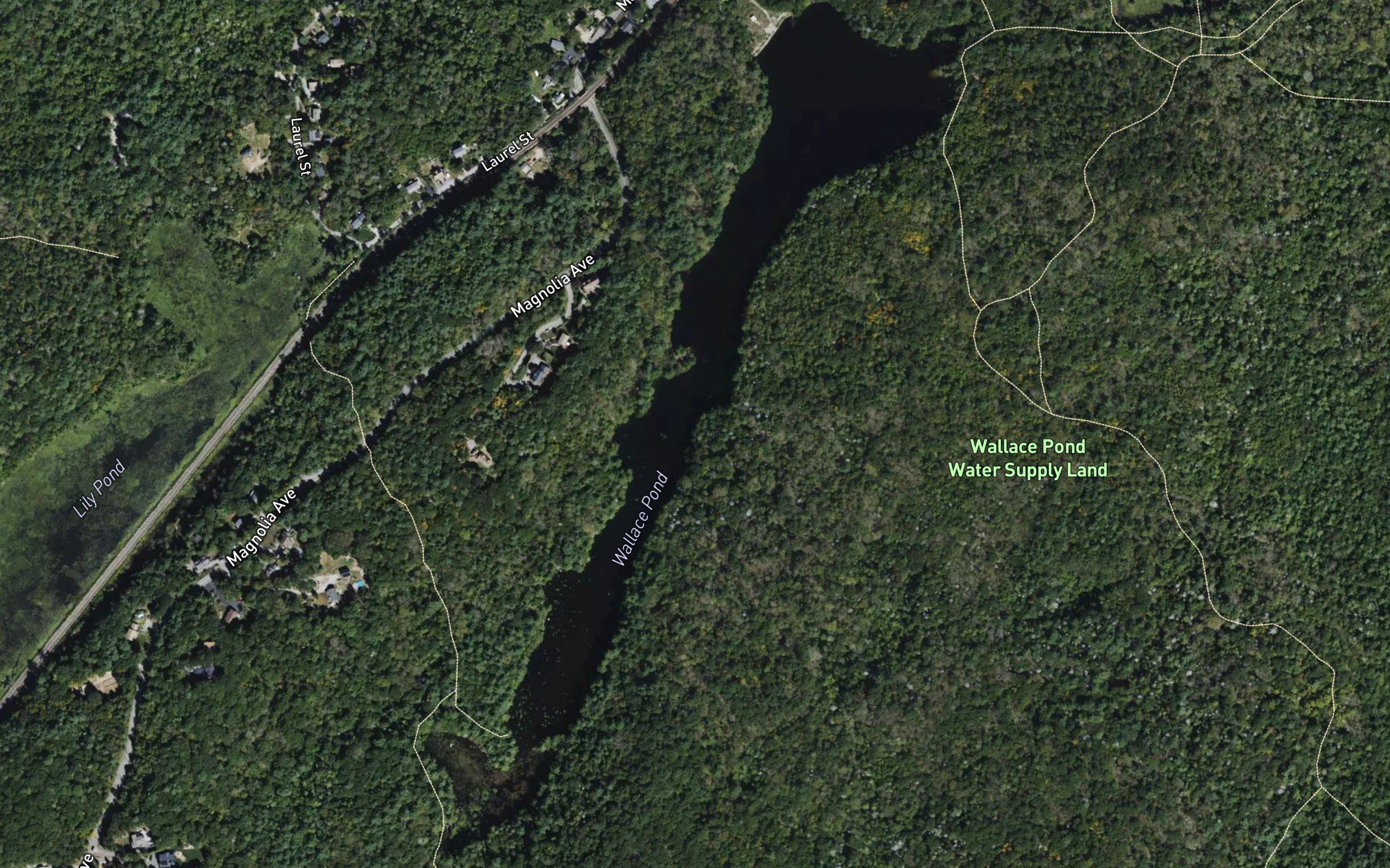 Wallace Pond