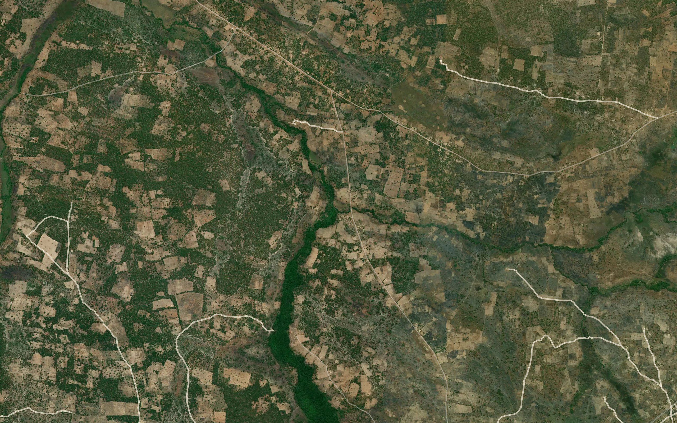 Kalamba