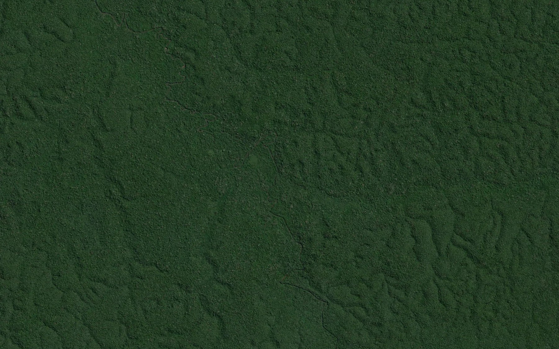 Satellite map of the Igarape Japiim