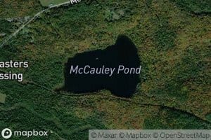 McCauley Pond