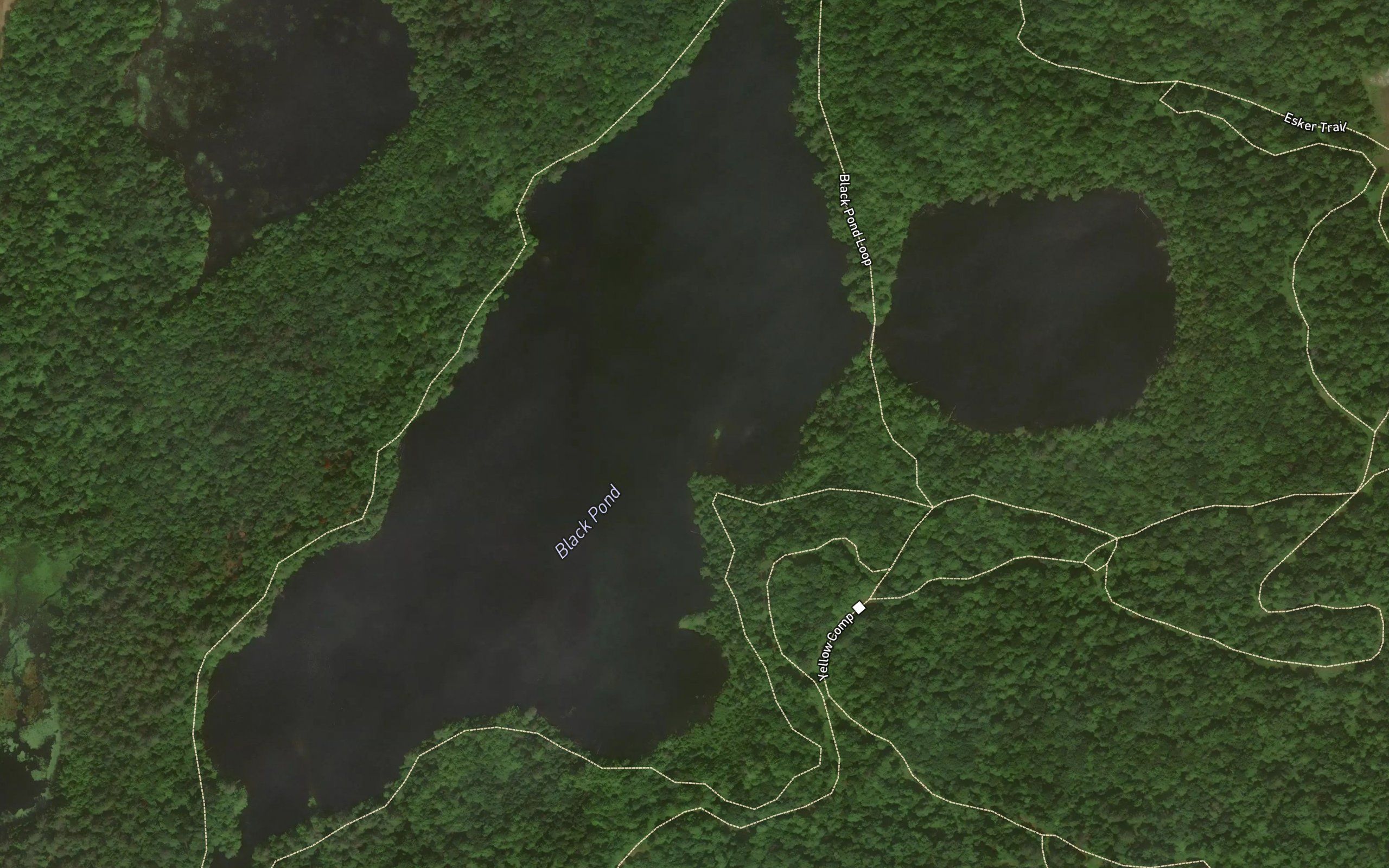 Black Pond