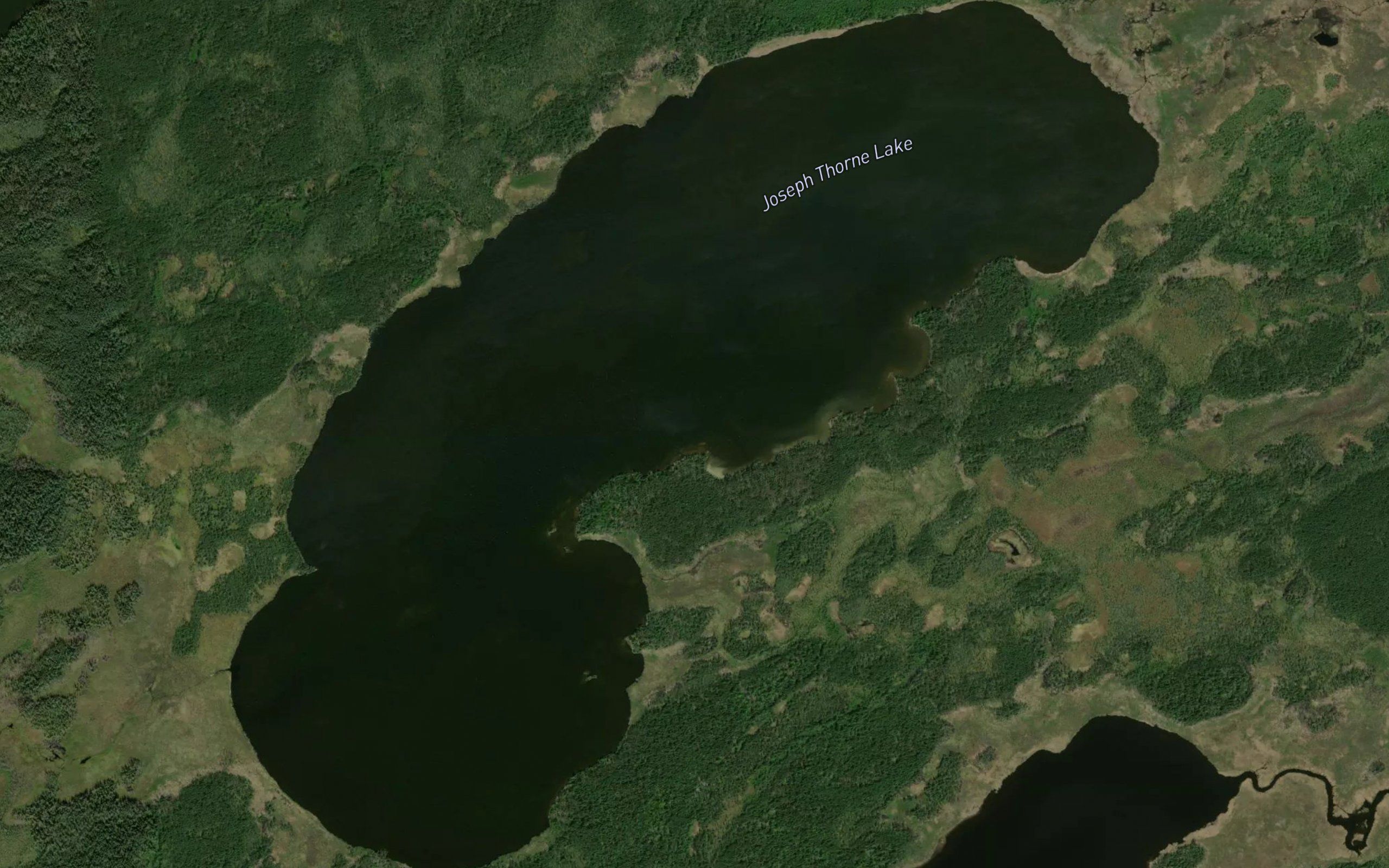 Joseph Thorne Lake