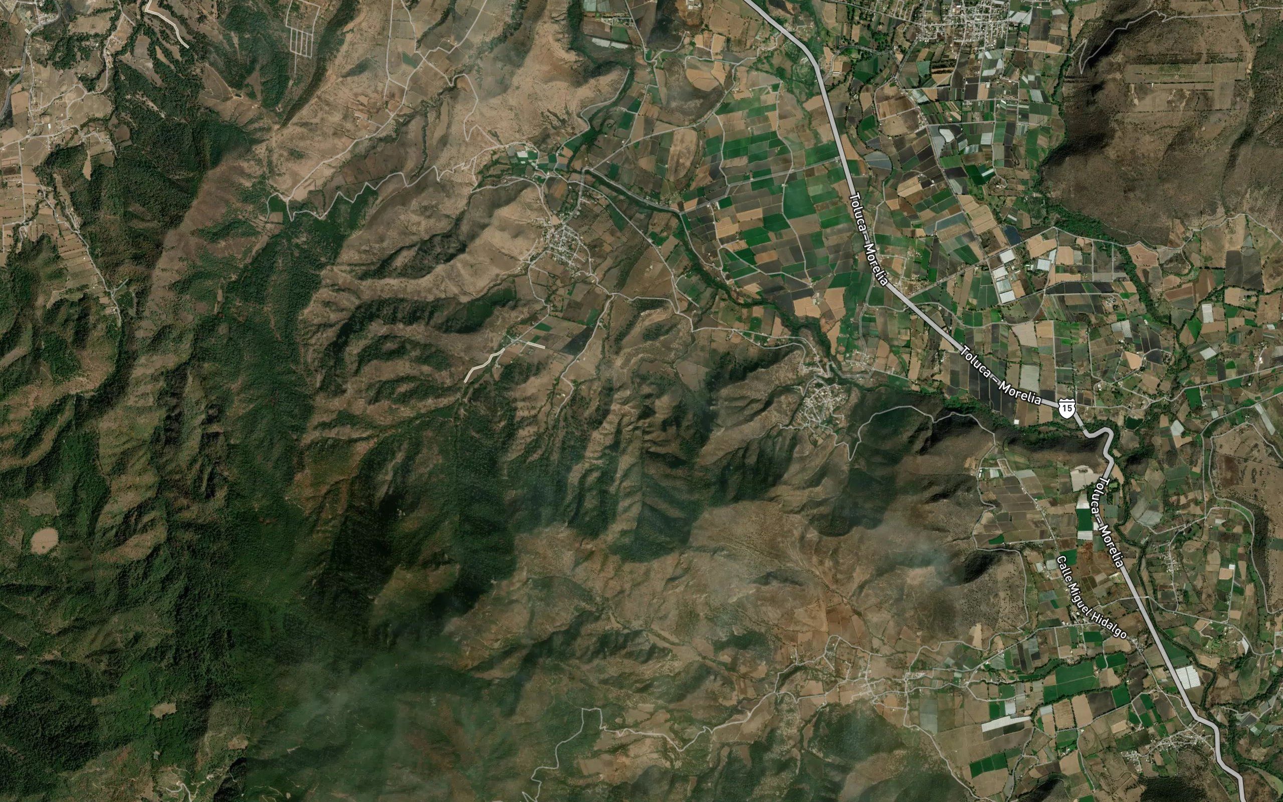 El Pino